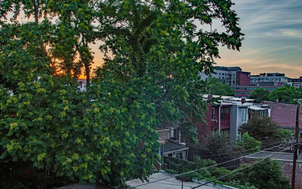H St Sanctuary Capitol Hill Carriage House Washington